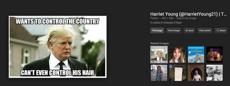 A Google image search result that seems out of place